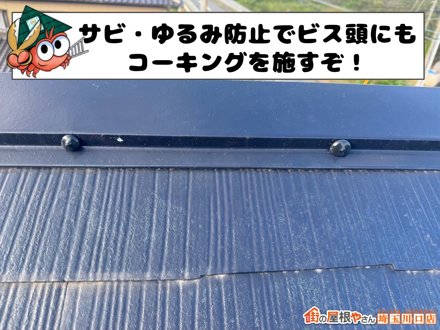サビ・ゆるみ防止でビス頭にコーキングを施すぞ！